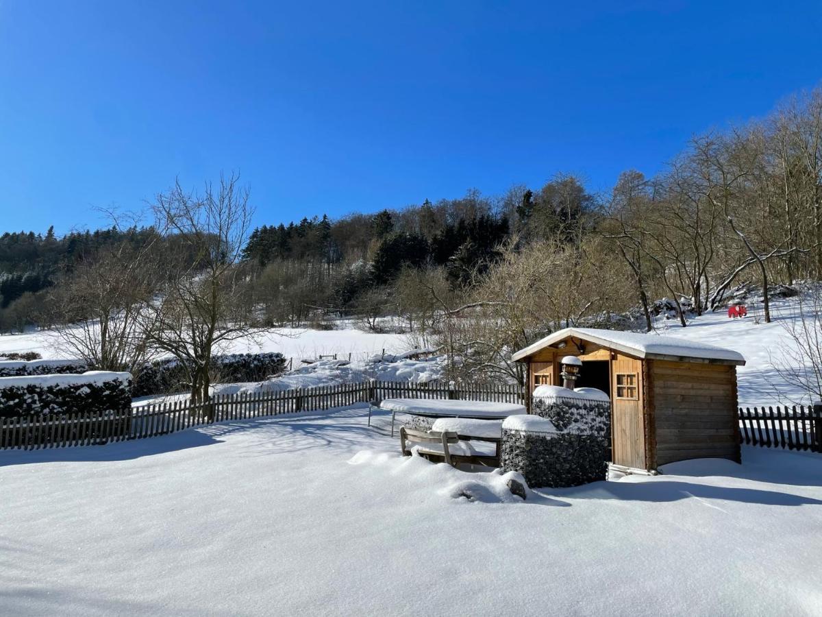 Ferienwohnung Up Willingen-Schwalefeld Willingen  Exterior photo