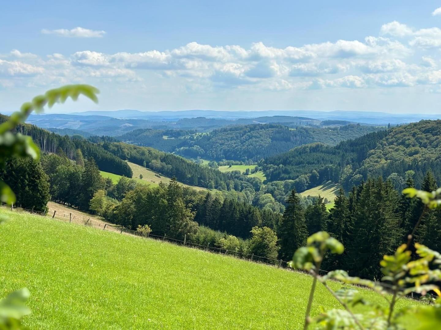 Ferienwohnung Up Willingen-Schwalefeld Willingen  Exterior photo